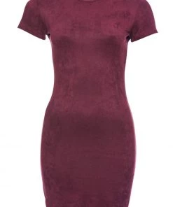 AX Paris Plum Faux Suede Mini Dress With High Neck